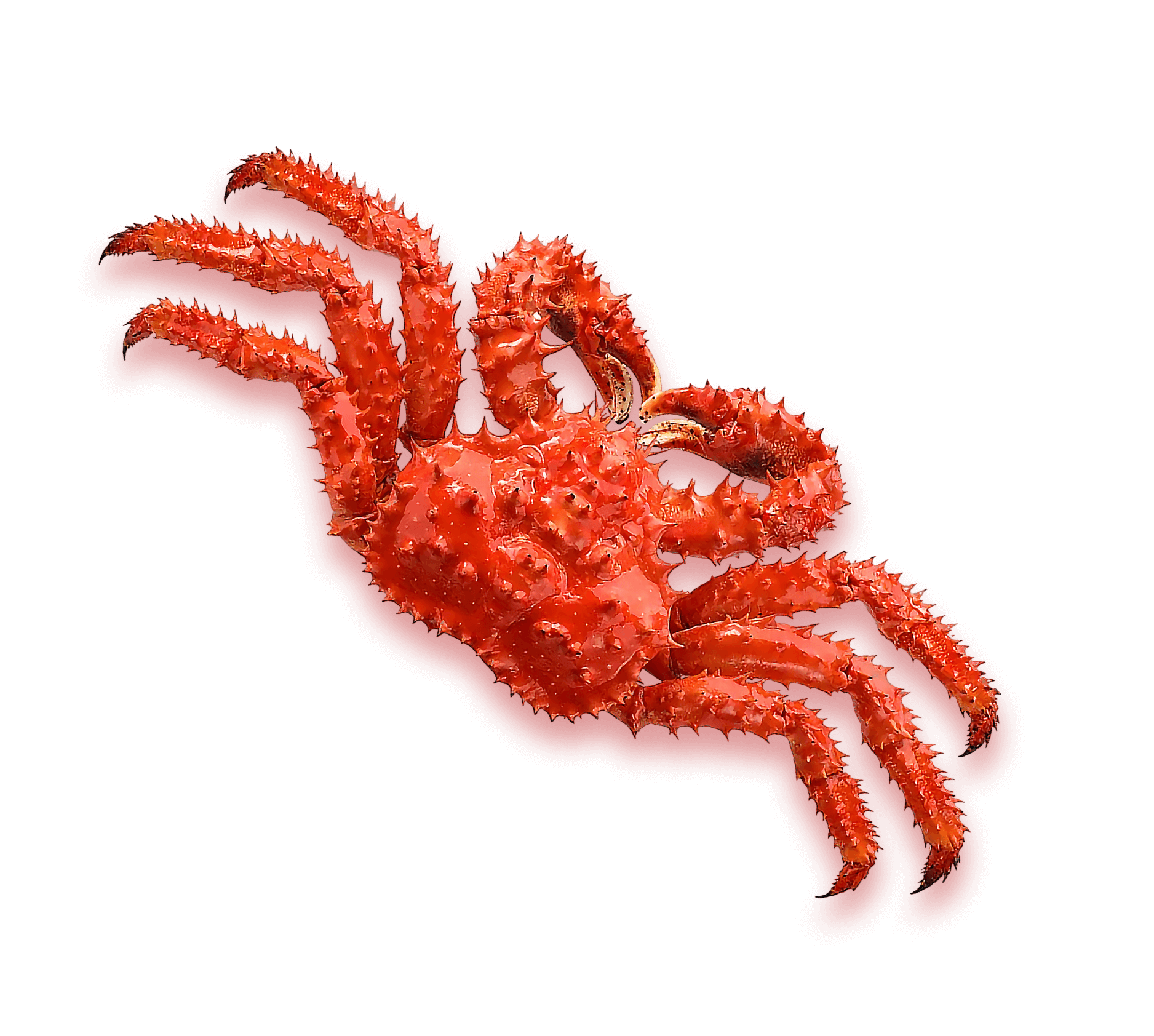 Фоновый краб