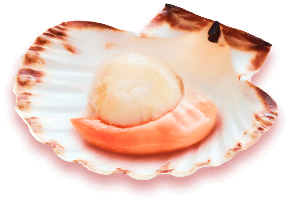 Фоновая устрица